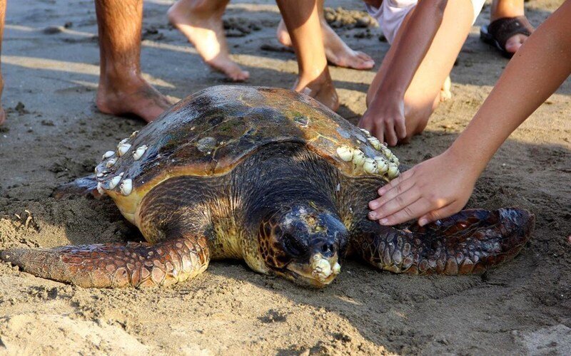Город Гечек, самый спокойный город в Турции