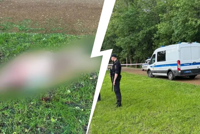 В парке Москвы зарезали мужчину на глазах у его внучек