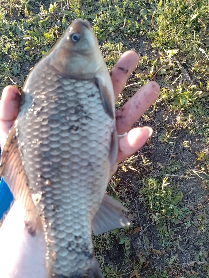 Вот и я смог вырваться сегодня на рыбалку! Отдых для души и тела! А вы любите рыбалку?
