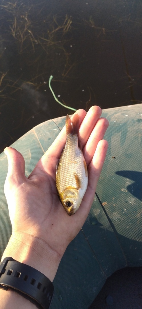 Вот и я смог вырваться сегодня на рыбалку! Отдых для души и тела! А вы любите рыбалку?