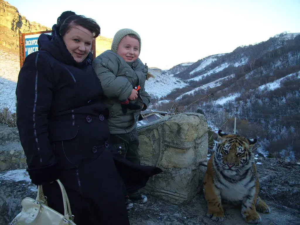 Как я потерял любимого сына! Вступление!