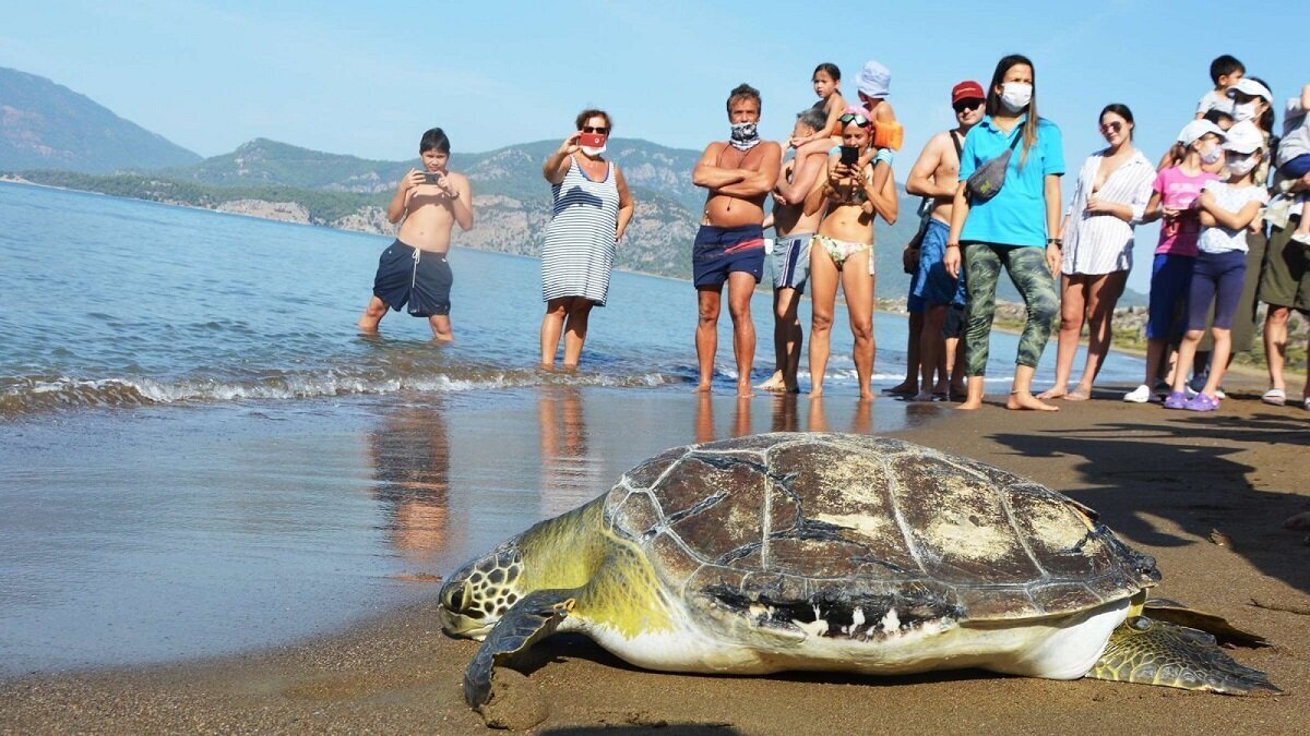 Город Гечек, самый спокойный город в Турции