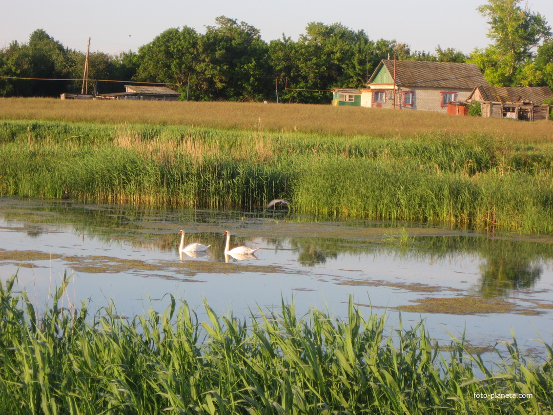 Вот и я смог вырваться сегодня на рыбалку! Отдых для души и тела! А вы любите рыбалку?