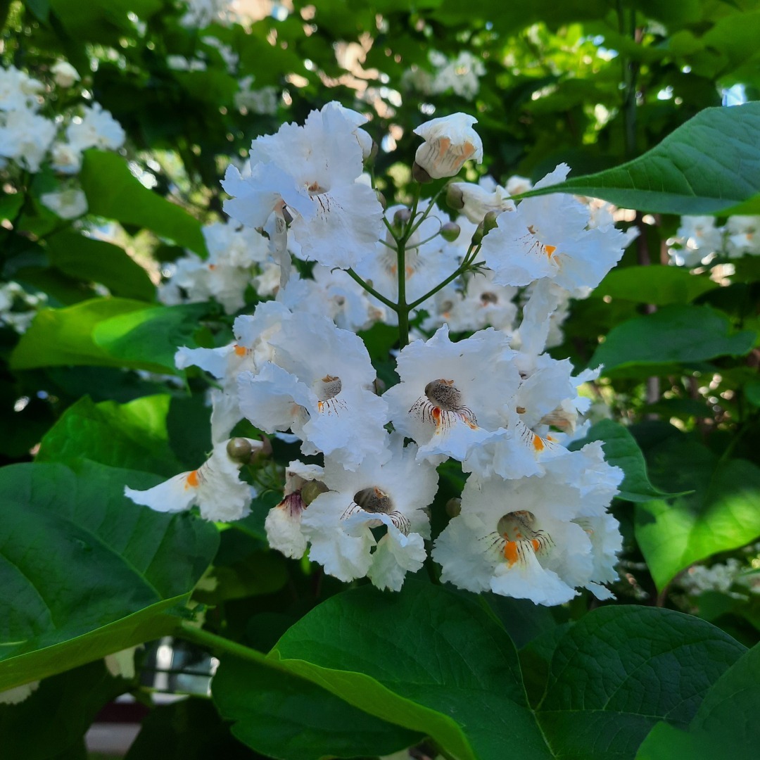 Мой опыт работы на различных площадках: Яндекс Дзен.