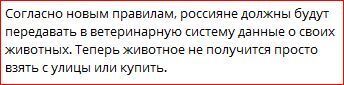 1 июня в Минприроды сообщили, что в России намерены разобраться с проблемой брошенных, бездомных животных. Как считаете, получится?