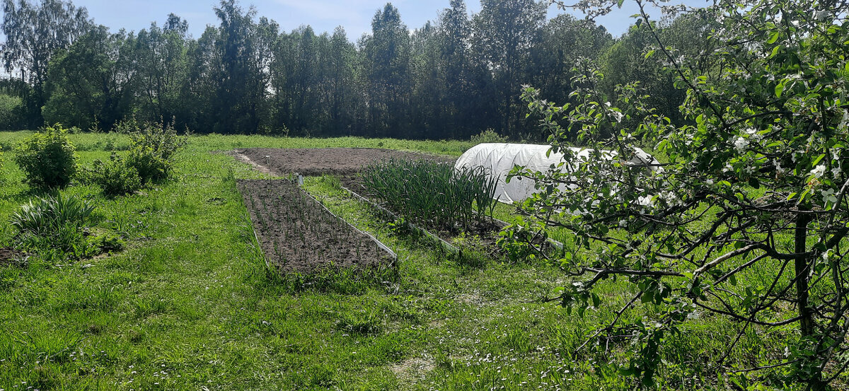 Штраф за продажу картошки можно получить запросто, если не знать закон