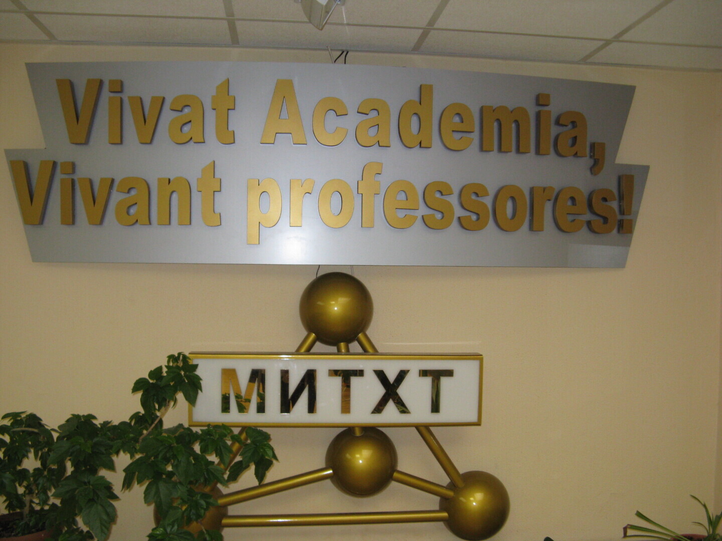 Виват, Академия! Или обратная сторона красивого названия МИТХТ им. Ломоносова.