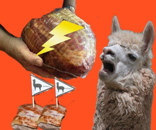 Минздрав одобряет. Мясо альпак будут поставлять в Россию?