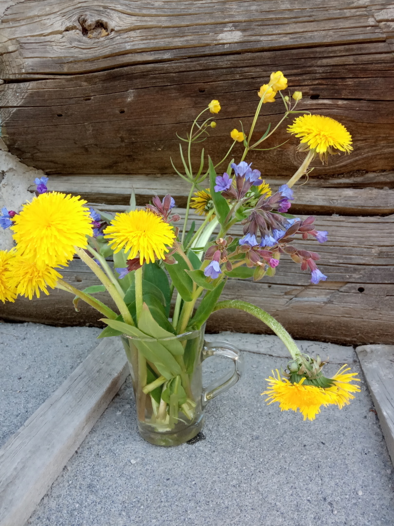 Букет – пожелание. Медуница сулит здоровье, лютик – богатство, а одуванчик приносит счастье и радость.