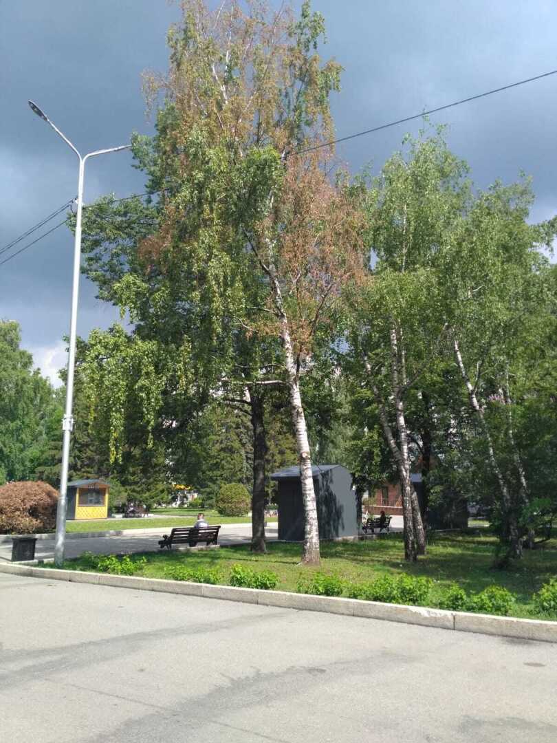 Вот такое хреновое лето!