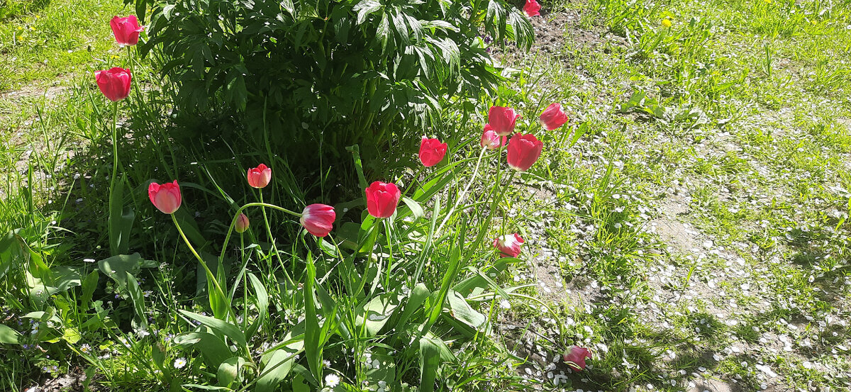 Штраф за продажу картошки можно получить запросто, если не знать закон