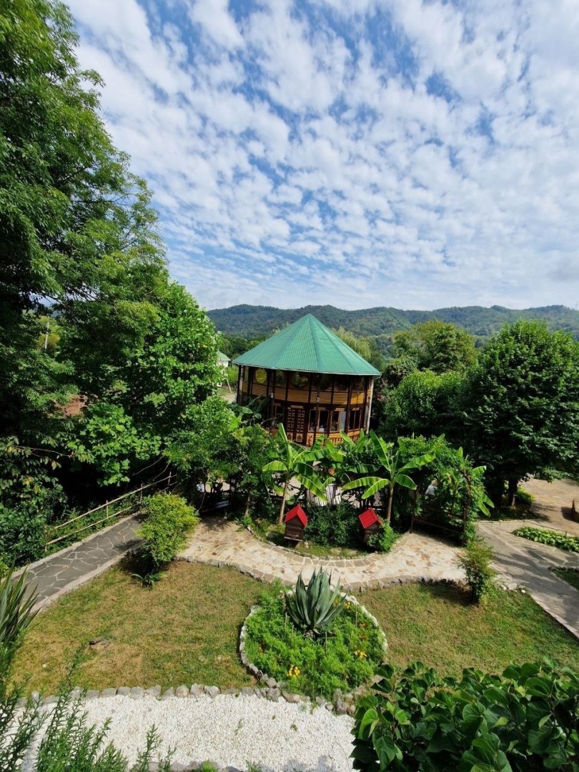 Как я съездила в Сочи🌴 День 1,2🌴