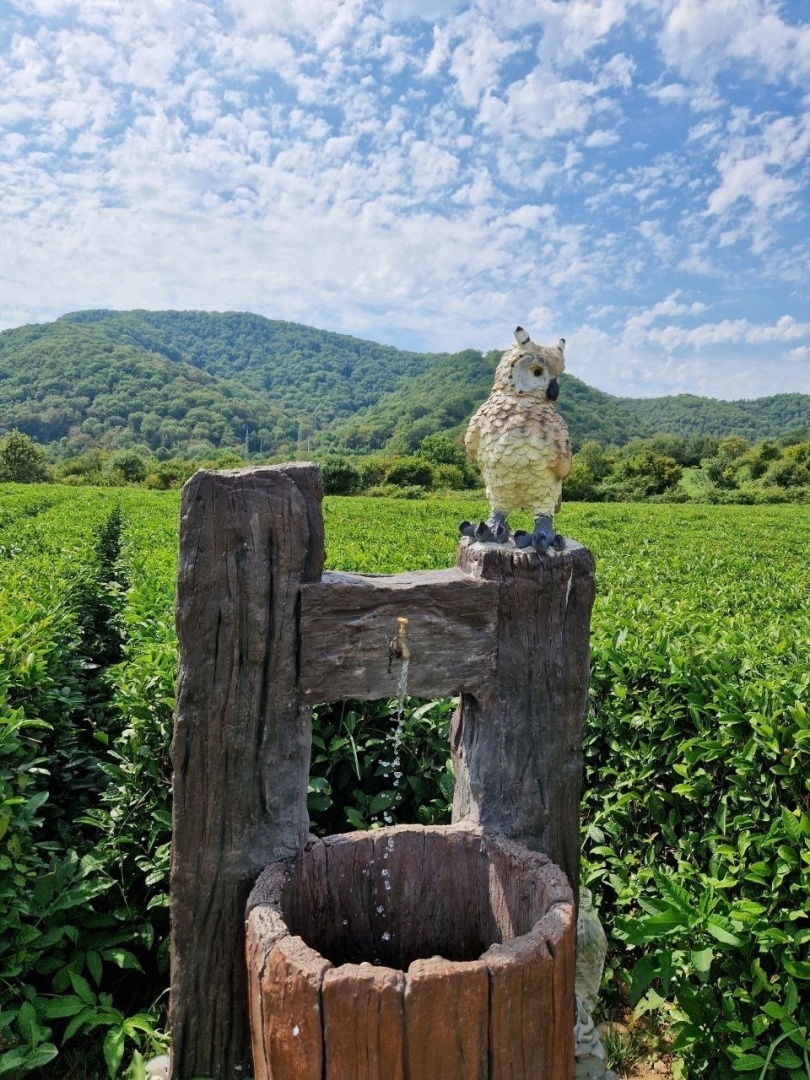 Как я съездила в Сочи🌴 День 1,2🌴