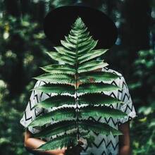 Давыдов Александр, г. Астрахань