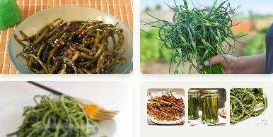 Чесночные стрелки: зимние деликатесы на вашем столе