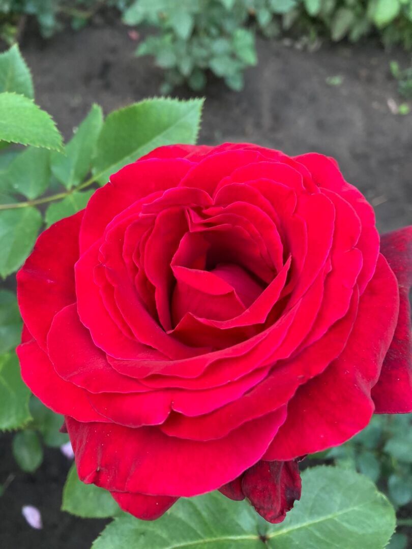 Пятничная игра, открытие купального сезона и мидии в сливочном соусе.