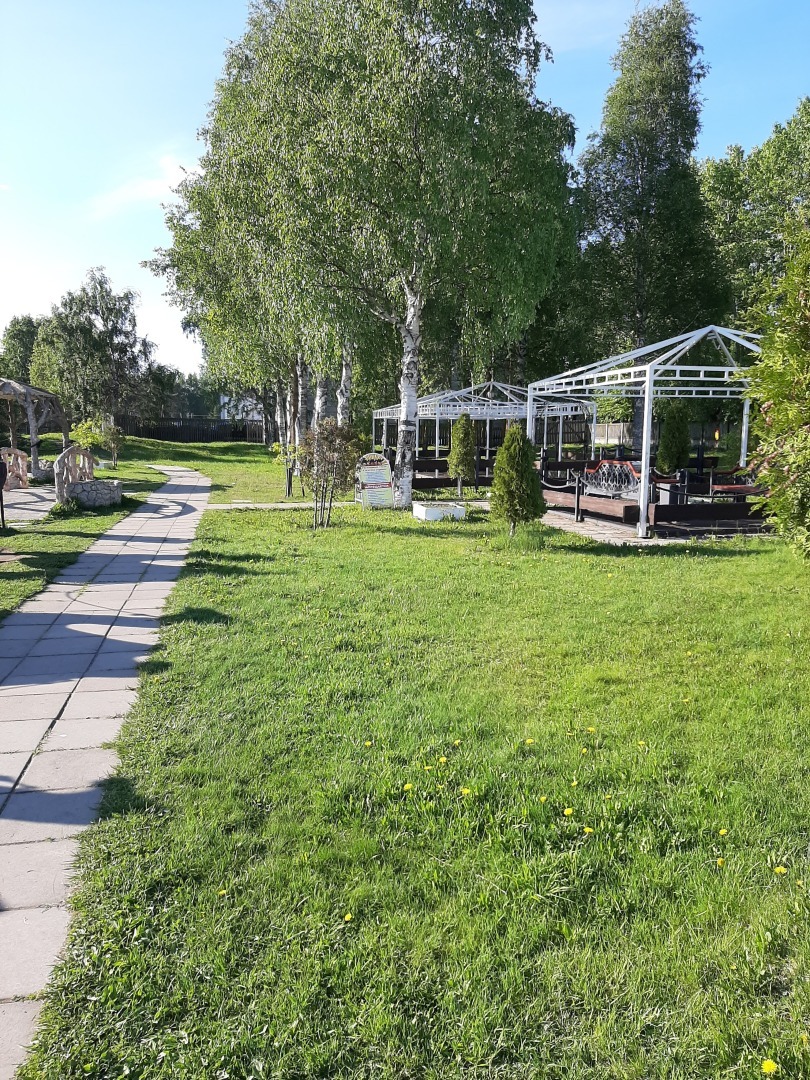 Прогулки выходного дня: красота природы, зелень и мои впечатления