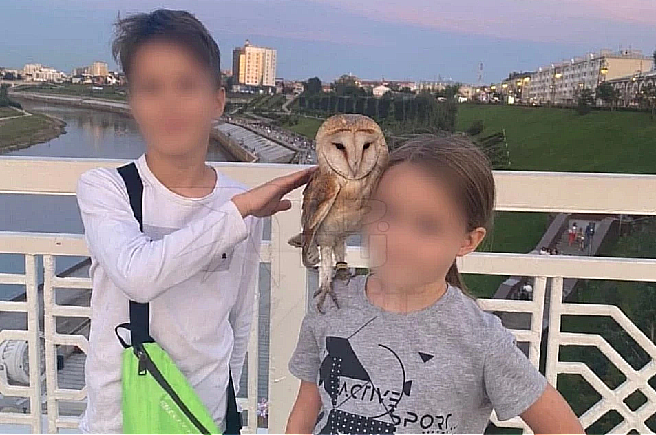 Развязка событий в Свердловской области по поискам пропавших в лесу детей