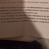 IMG_0279.jpeg