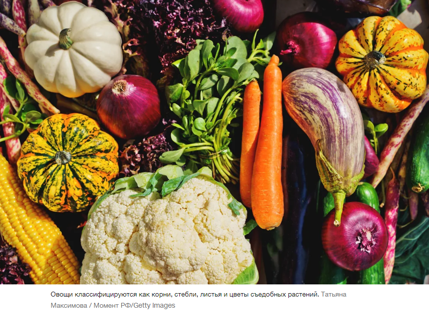 Некоторые вегетарианские диеты значительно снижают риск развития рака, болезней сердца и смерти, говорится в исследовании