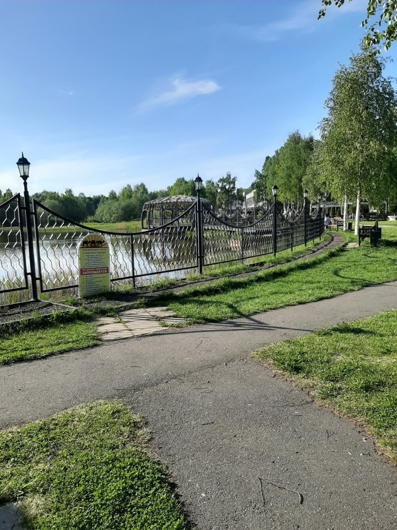 Прогулки выходного дня: красота природы, зелень и мои впечатления