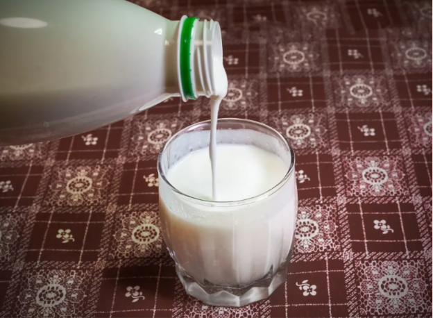 Кефир, куриная грудка, твердый сыр. Названы продукты, которые можно есть даже ночью