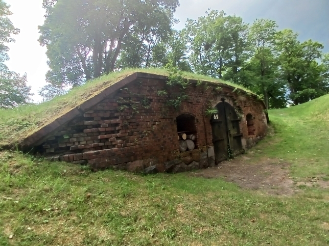 Форд с кроликами