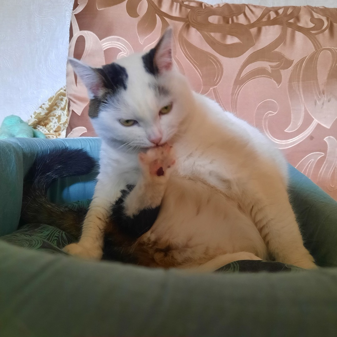 Пятничная игра, открытие купального сезона и мидии в сливочном соусе.