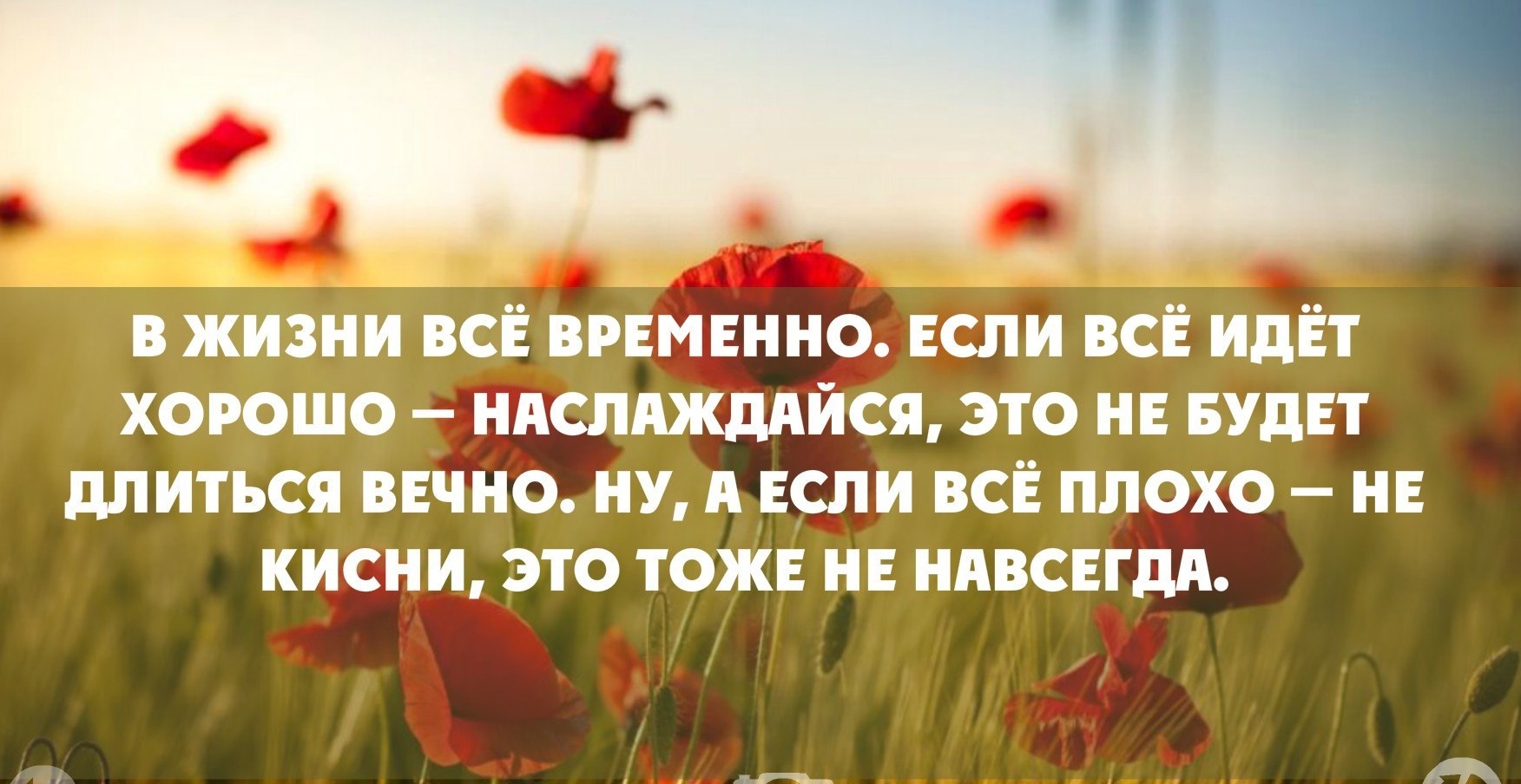 Каждый выбирает для себя... Уверены? Тест: Нравится ли вам ваша жизнь?! |  Людмила Андреевна Сызранова, 11 июня 2024