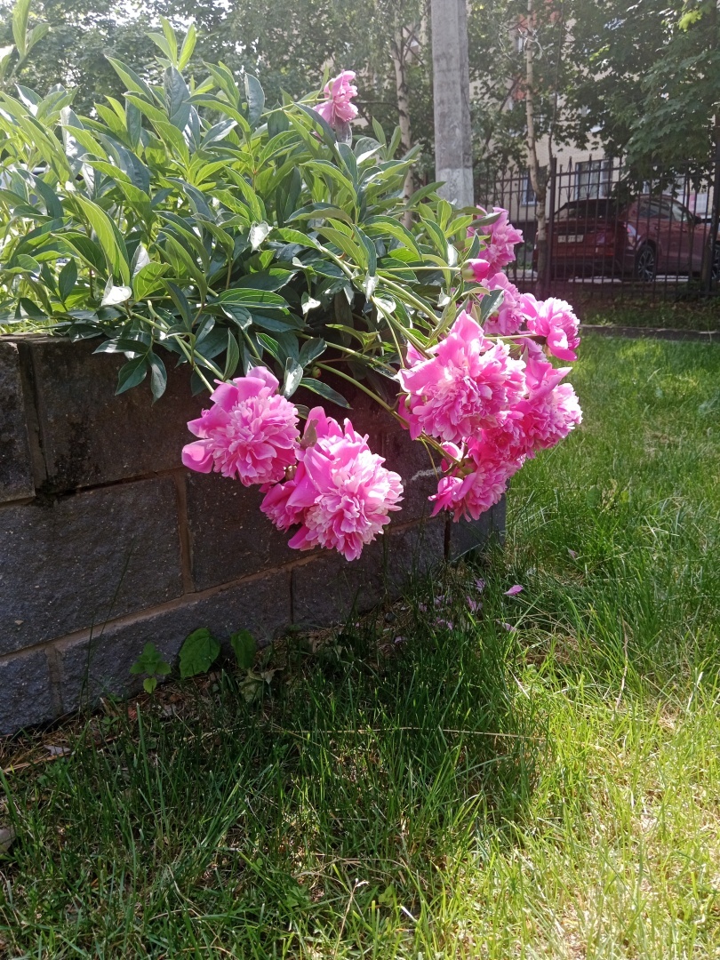 Как перестать загоняться и начать радоваться жизни