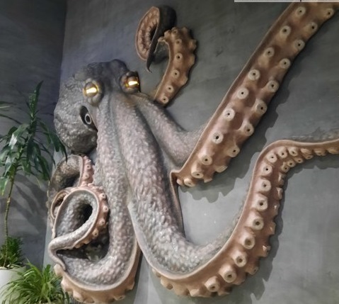 Магазин Осьминог. Ресторан Осьминог.