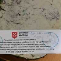 IMG-20240611-WA0000.jpg