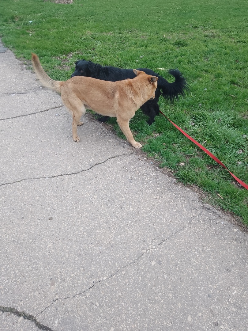 Первый раз проспала на работу… Как пойдет день, если все началось не по плану…