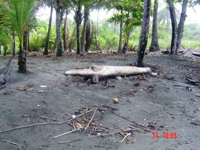 Коста-Рика, Тихий океан и Карибское море ничуть не хуже, чем Турция, Таиланд, Средиземное море и море Бали