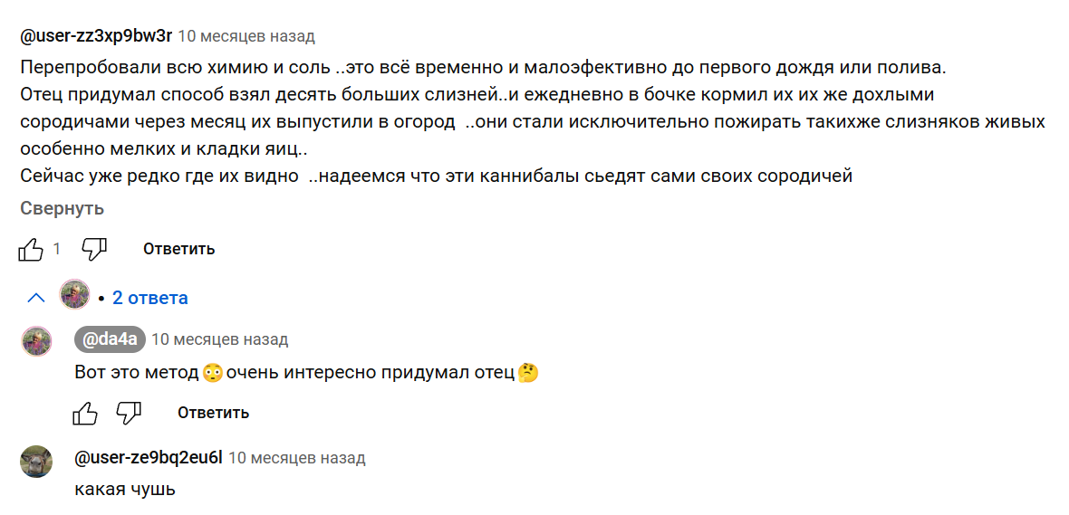 Гигантские испанские слизни снова добрались до Москвы. Чем же они угрожают, и как с ними бороться?