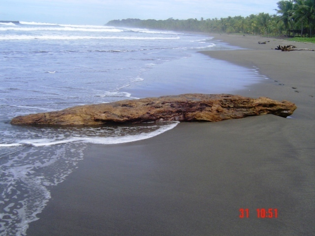 Коста-Рика, Тихий океан и Карибское море ничуть не хуже, чем Турция, Таиланд, Средиземное море и море Бали