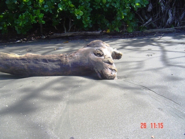 Коста-Рика, Тихий океан и Карибское море ничуть не хуже, чем Турция, Таиланд, Средиземное море и море Бали