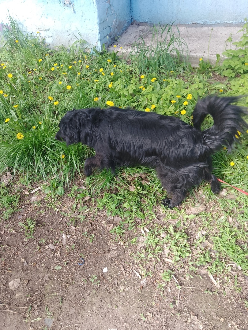 Первый раз проспала на работу… Как пойдет день, если все началось не по плану…