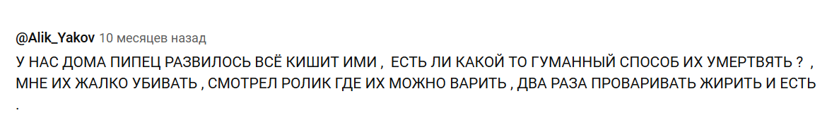 Гигантские испанские слизни снова добрались до Москвы. Чем же они угрожают, и как с ними бороться?