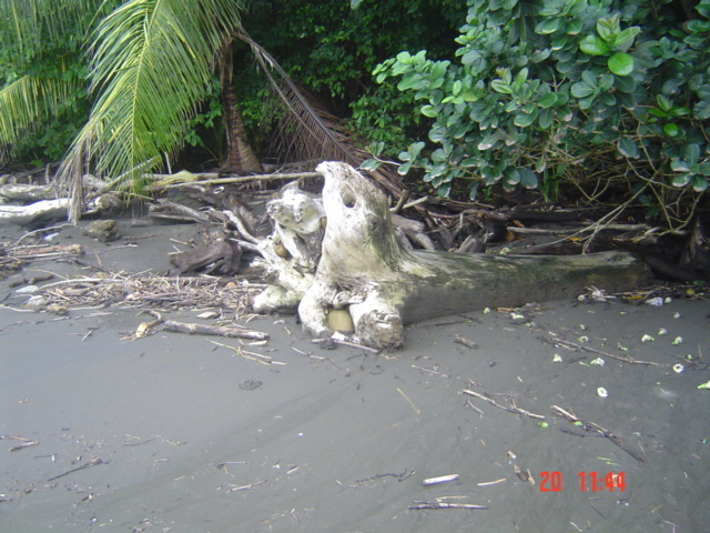 Коста-Рика, Тихий океан и Карибское море ничуть не хуже, чем Турция, Таиланд, Средиземное море и море Бали