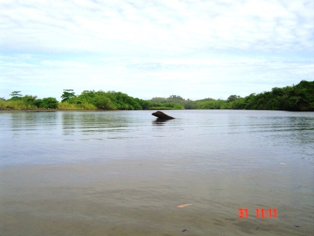 Коста-Рика, Тихий океан и Карибское море ничуть не хуже, чем Турция, Таиланд, Средиземное море и море Бали