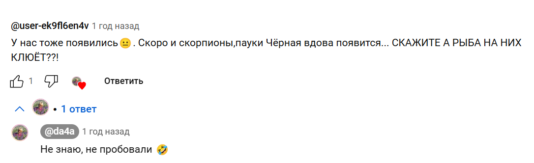 Гигантские испанские слизни снова добрались до Москвы. Чем же они угрожают, и как с ними бороться?