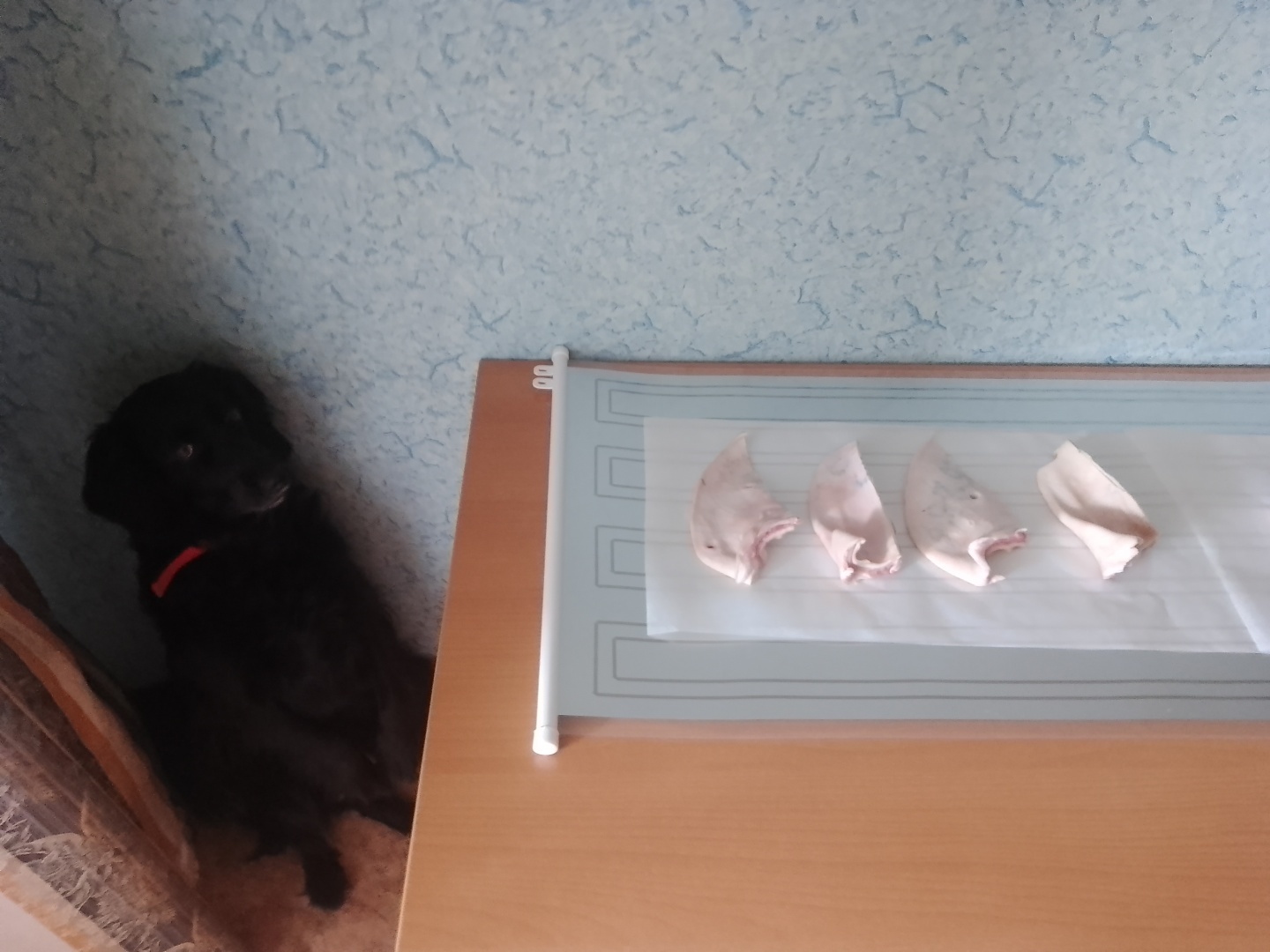 Запасаемся овощами и ягодами на всю зиму. Их не обязательно замораживать, покупая для этого отдельную морозилку. Экономьте — приобретайте коврик!