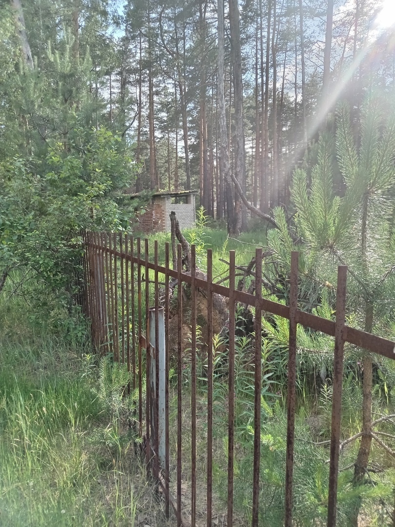 Бывший пионерский лагерь "Лесная сказка" в запущении.