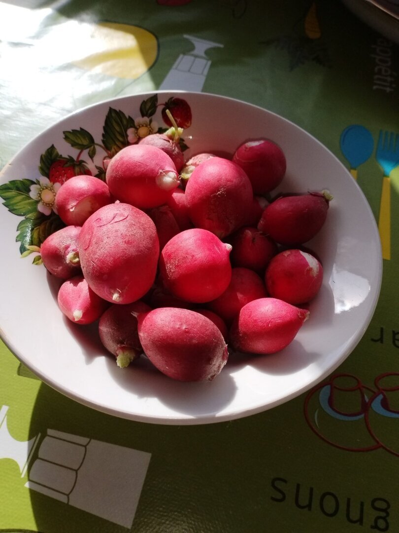 Первые результаты нашего труда на своем земельном участке: красота и польза