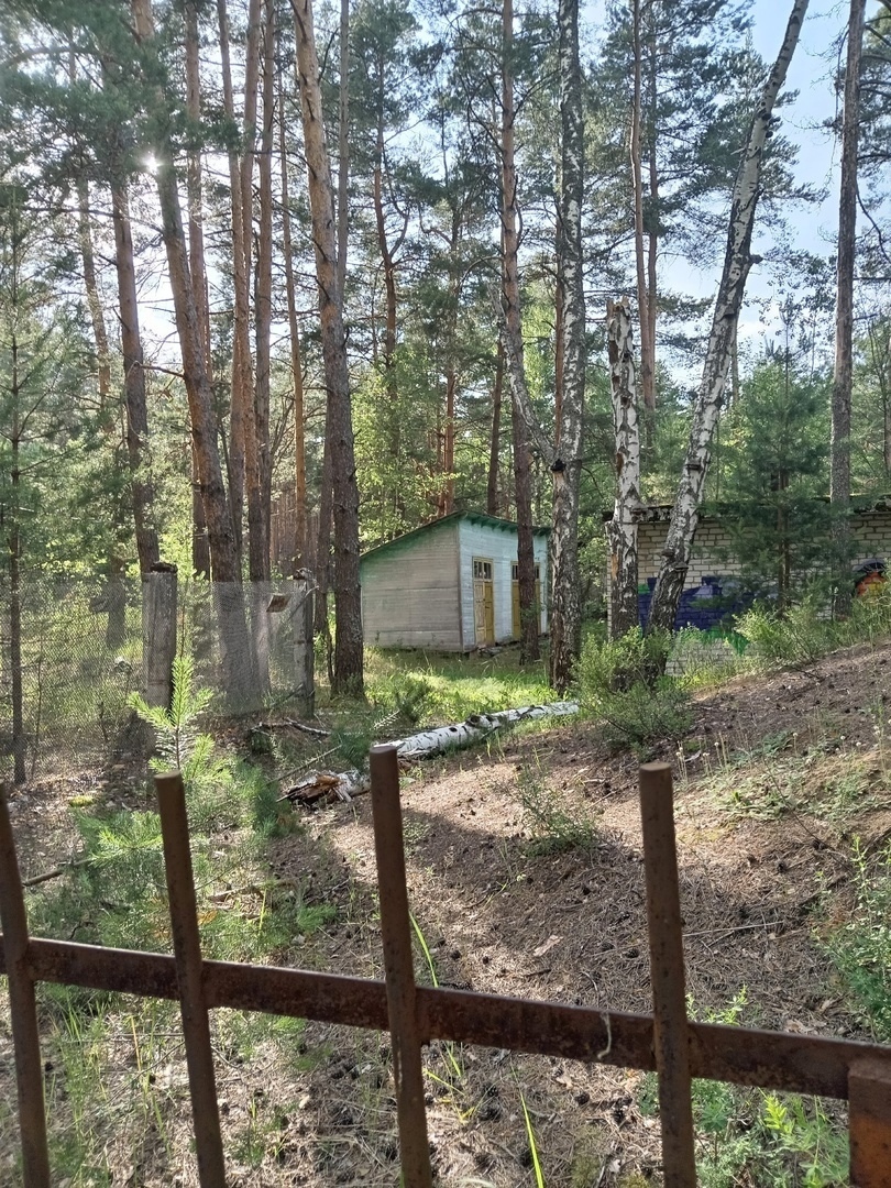 Бывший пионерский лагерь "Лесная сказка" в запущении.