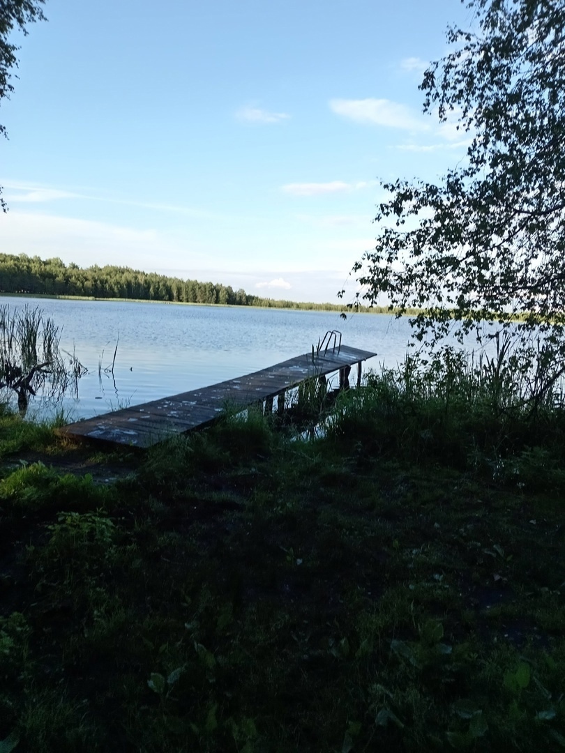 Бывший пионерский лагерь "Лесная сказка" в запущении.