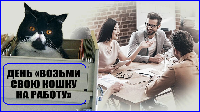 ✔️Котопозитивчик для неуКОТных🤗