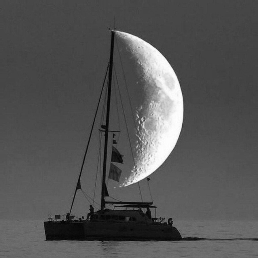 Вот так дела: Луна скоро совершит "большую остановку" уже в 2024 году: к чему готовится и чем это грозит Землянам?