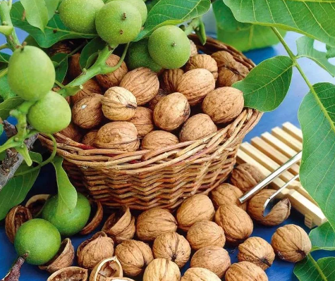 Орехи вовсе не грецкие! Рецепт пасты с Пармезаном и грецкими орехами!